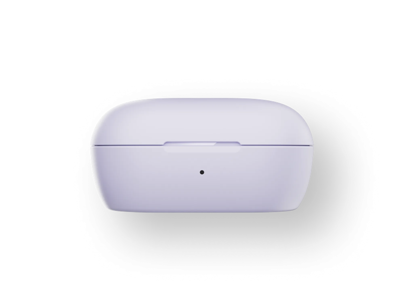 Renowned Noise-Cancelling Brand QuietComfort Earbuds
