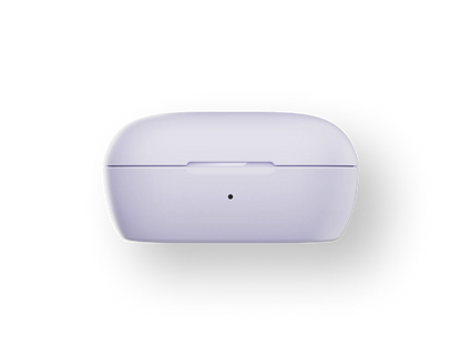 Renowned Noise-Cancelling Brand QuietComfort Earbuds