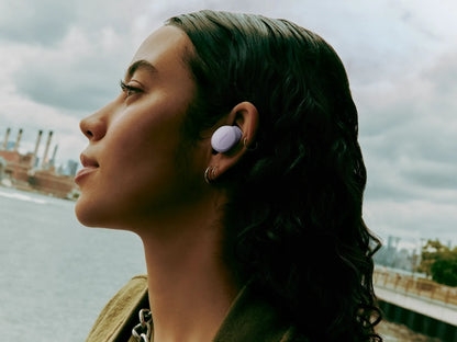Renowned Noise-Cancelling Brand QuietComfort Earbuds
