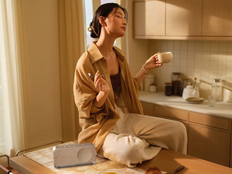 Renowned Noise-Cancelling Brand SoundLink Home Bluetooth Speaker